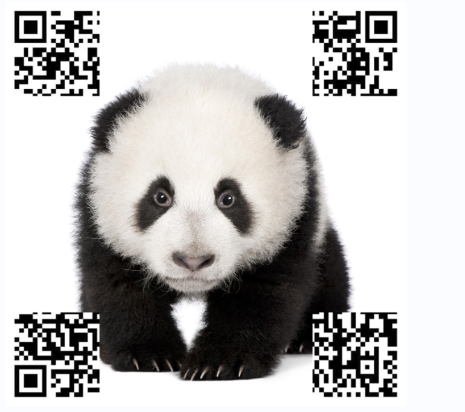 0a3025f5-ed02-4c74-b924-6d0b804a2370