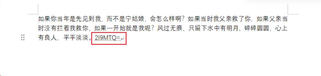 image-20240102205126125